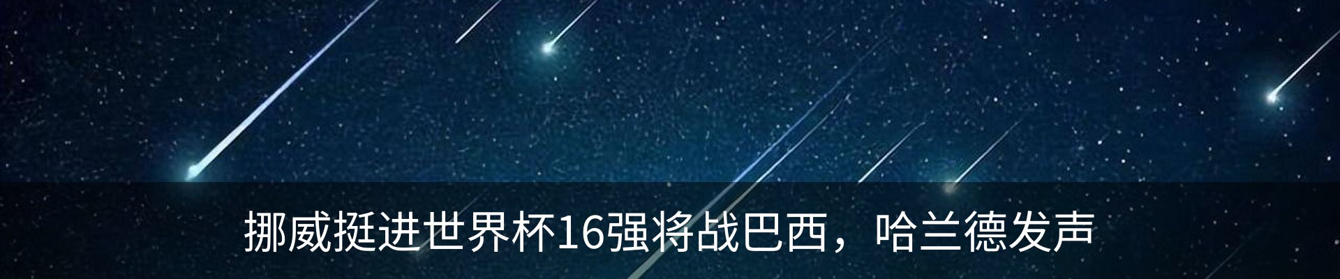 最新动态