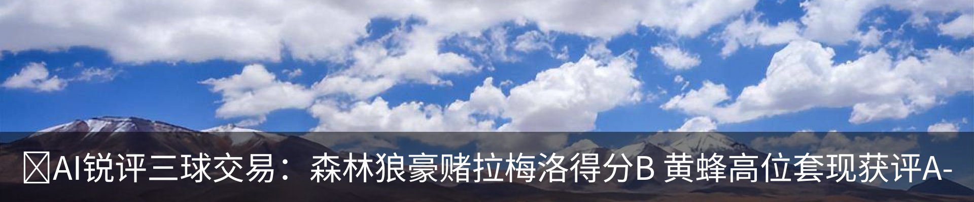 最新动态